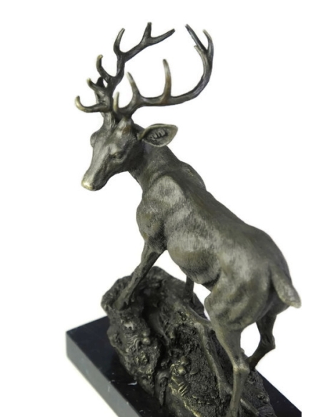 Jeune cerf par Miguel Fernando López (Milo) Jeune cerf par Miguel Fernando López (Milo)