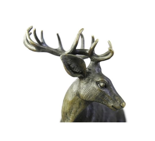 Young stag by Miguel Fernando López (Milo)