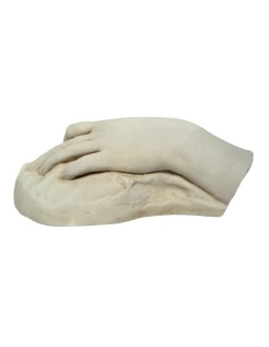 Modelo de mano abierta de la Real Academia de Bellas Artes de San Fernando