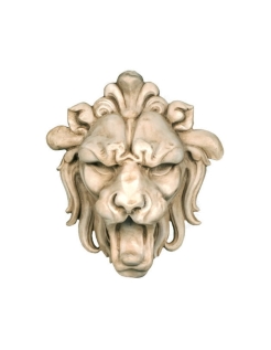 Petite tête de lion