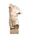 Torso of Hercules