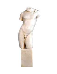 Torso masculino