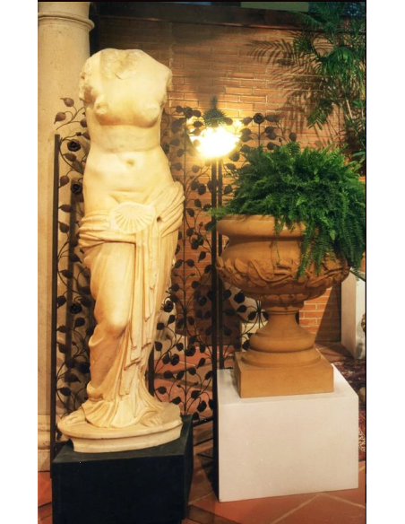 Venus de la Concha Venus de la Concha