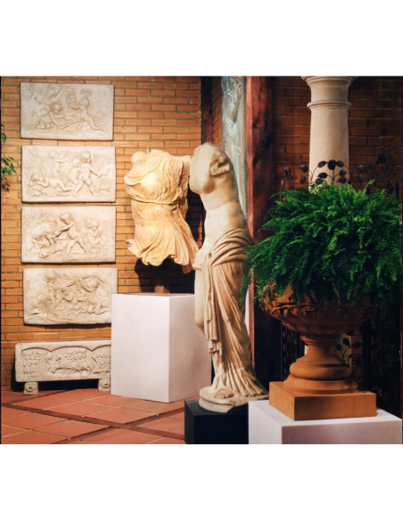 Venus de la Concha Venus de la Concha