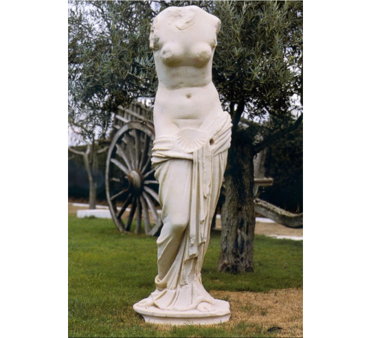 Venus with shell