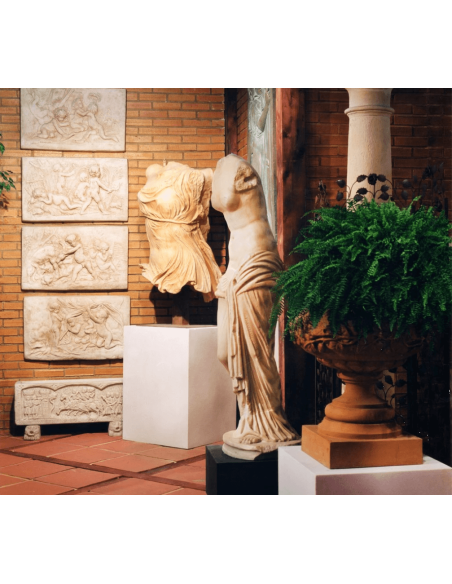 Torso de Samotracia Torso de Samotracia