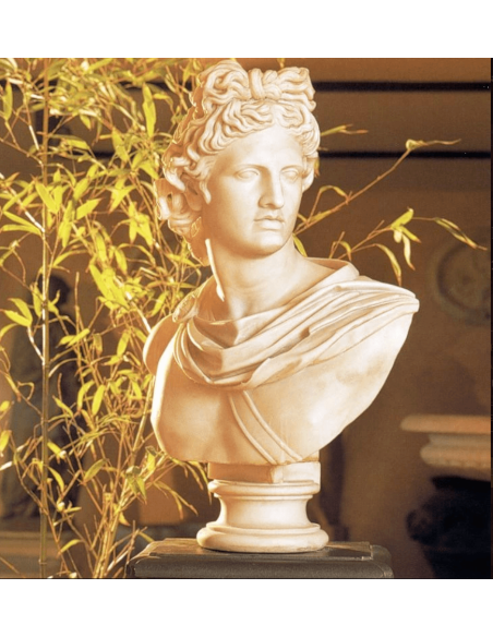 Bust of Apollo Bust of Apollo