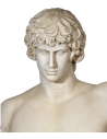 Bust of Antinous