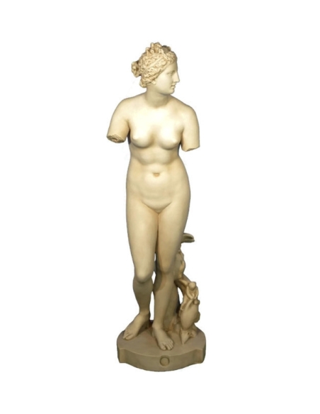 Venus de Medici - life-size statue