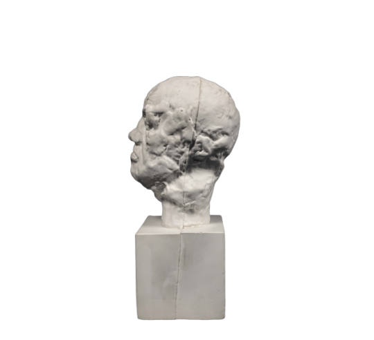 La máscara del hombre de la Nariz Rota - Auguste Rodin