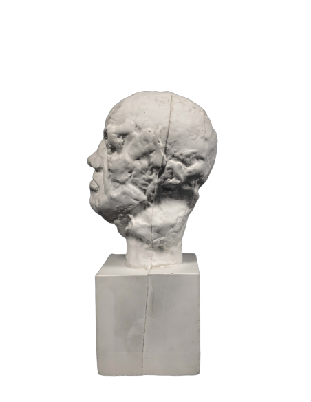 Little head of the Man with the Broken Nose - Auguste Rodin