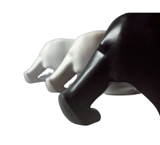 Oso blanco de François Pompon