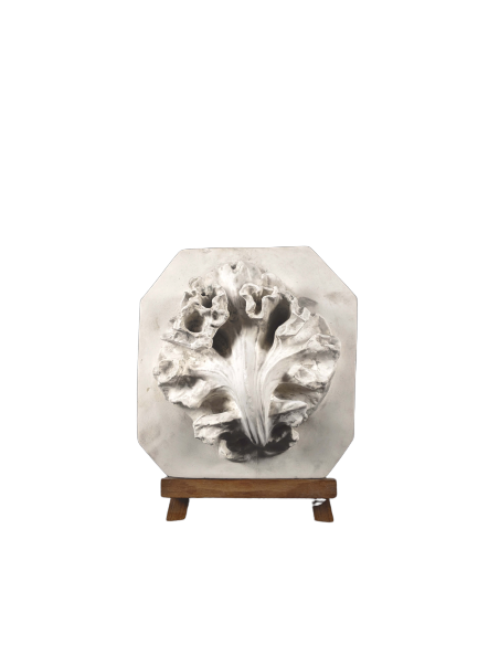 Feuille de chou Feuille de chou