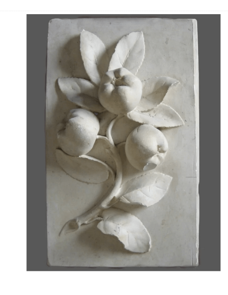 Branche de cognassier au trois coings