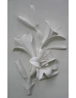 Lilies
