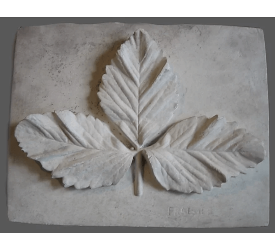 Strawberry leaf