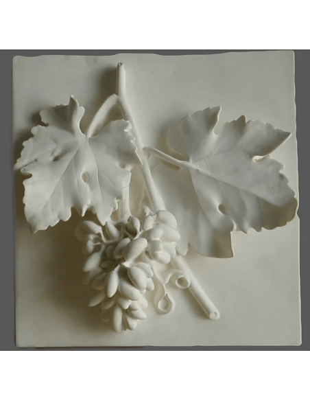 Grappe de raisin Grappe de raisin