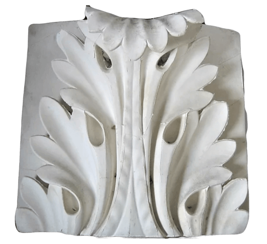 Curved Acanthus Leaf from the Temple of Mars Ultor