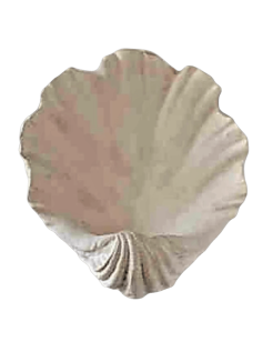 Tazón de fuente o concha en forma de almeja gigante