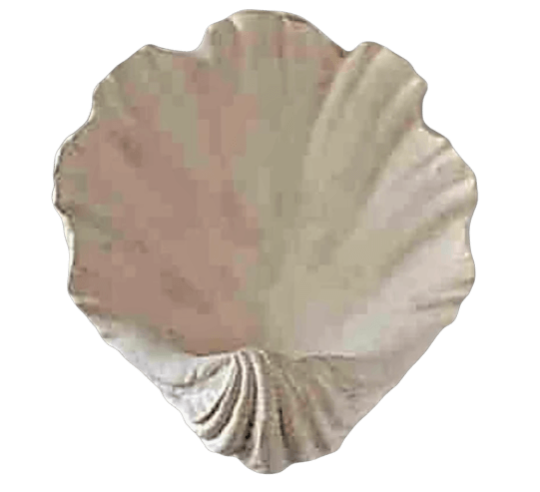 Tazón de fuente o concha en forma de almeja gigante