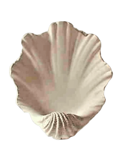 Giant clam shell vessel sink