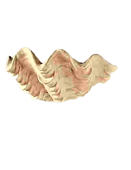 Giant clam shell vessel