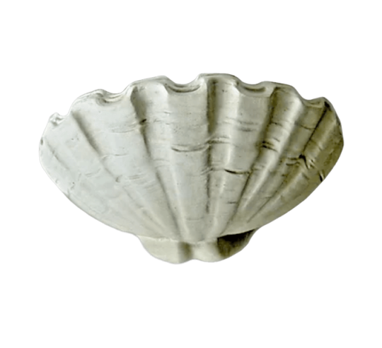 Louis XIV style Giant clam shell vessel