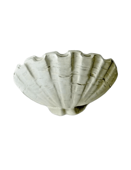 Louis XIV style Giant clam shell vessel