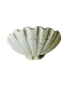 Louis XIV style Giant clam shell vessel