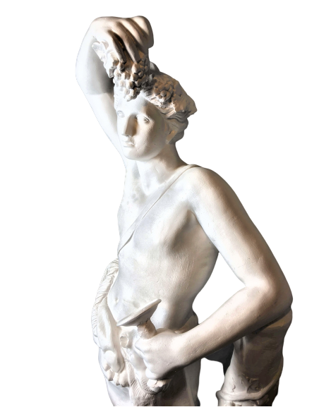 Dioniso o Baco dios del vino, el teatro y la locura -estatua de tamaño real Dioniso o Baco dios del vino, el teatro y la locura -estatua de tamaño real