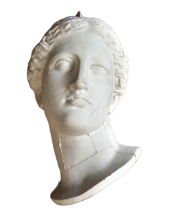 Buste de la venus d'Arles