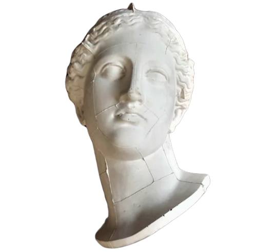 Bust of the Venus of Arles