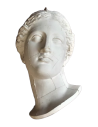 Buste de la venus d'Arles
