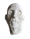Mortuary mask of Theodore Géricault