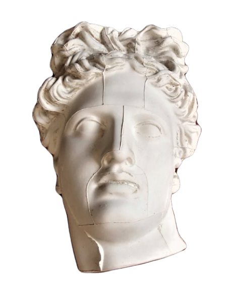 Bust of the Belvedere Apollo