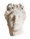 Bust of the Belvedere Apollo