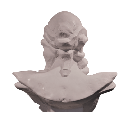 Busto de Marianne del bicentenario de la Revolución Francesa por Roger Louis Chavanon