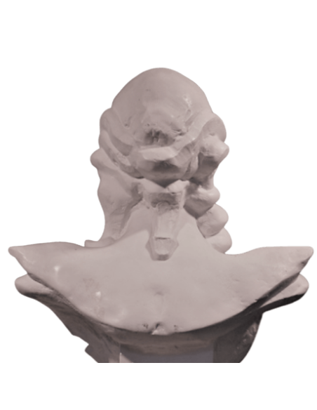 Busto de Marianne del bicentenario de la Revolución Francesa por Roger Louis Chavanon Busto de Marianne del bicentenario de la Revolución Francesa por Roger Louis Chavanon