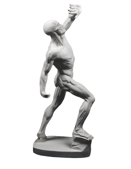 El  écorché combatiente por Jacques-Eugene Caudron