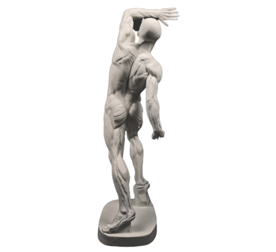 El  écorché combatiente por Jacques-Eugene Caudron