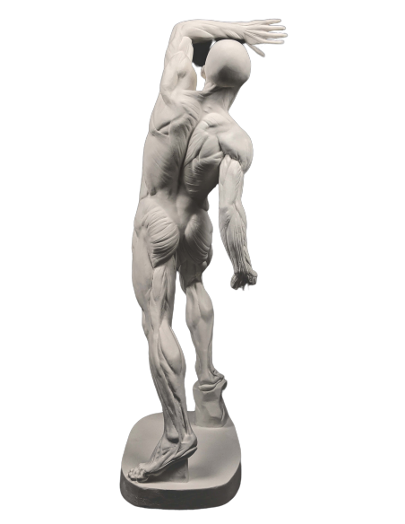 El  écorché combatiente por Jacques-Eugene Caudron