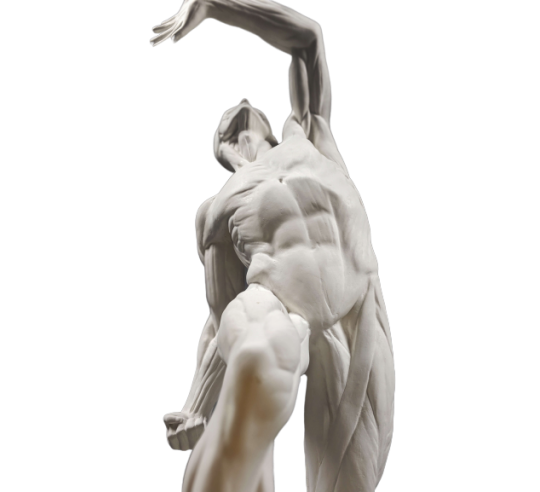 El  écorché combatiente por Jacques-Eugene Caudron