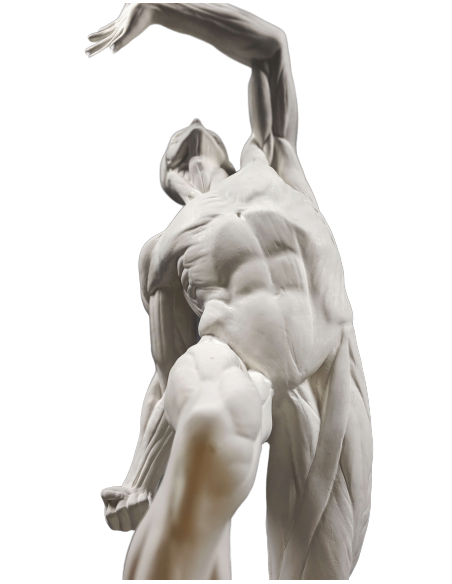 El  écorché combatiente por Jacques-Eugene Caudron