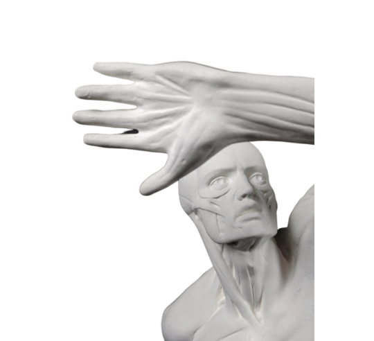 El  écorché combatiente por Jacques-Eugene Caudron