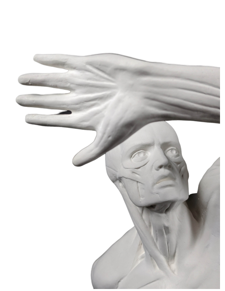 El  écorché combatiente por Jacques-Eugene Caudron