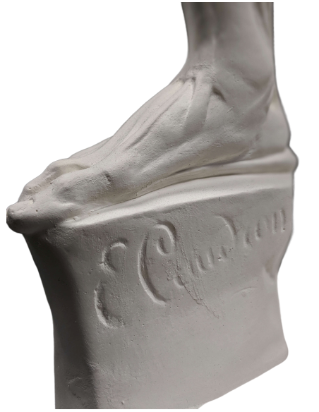 El  écorché combatiente por Jacques-Eugene Caudron