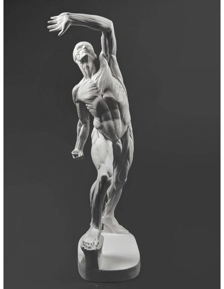 El  écorché combatiente por Jacques-Eugene Caudron