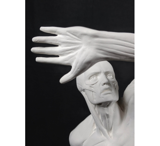 El  écorché combatiente por Jacques-Eugene Caudron