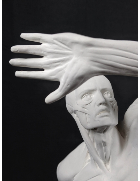 El  écorché combatiente por Jacques-Eugene Caudron