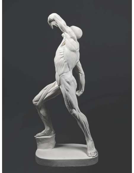 El  écorché combatiente por Jacques-Eugene Caudron